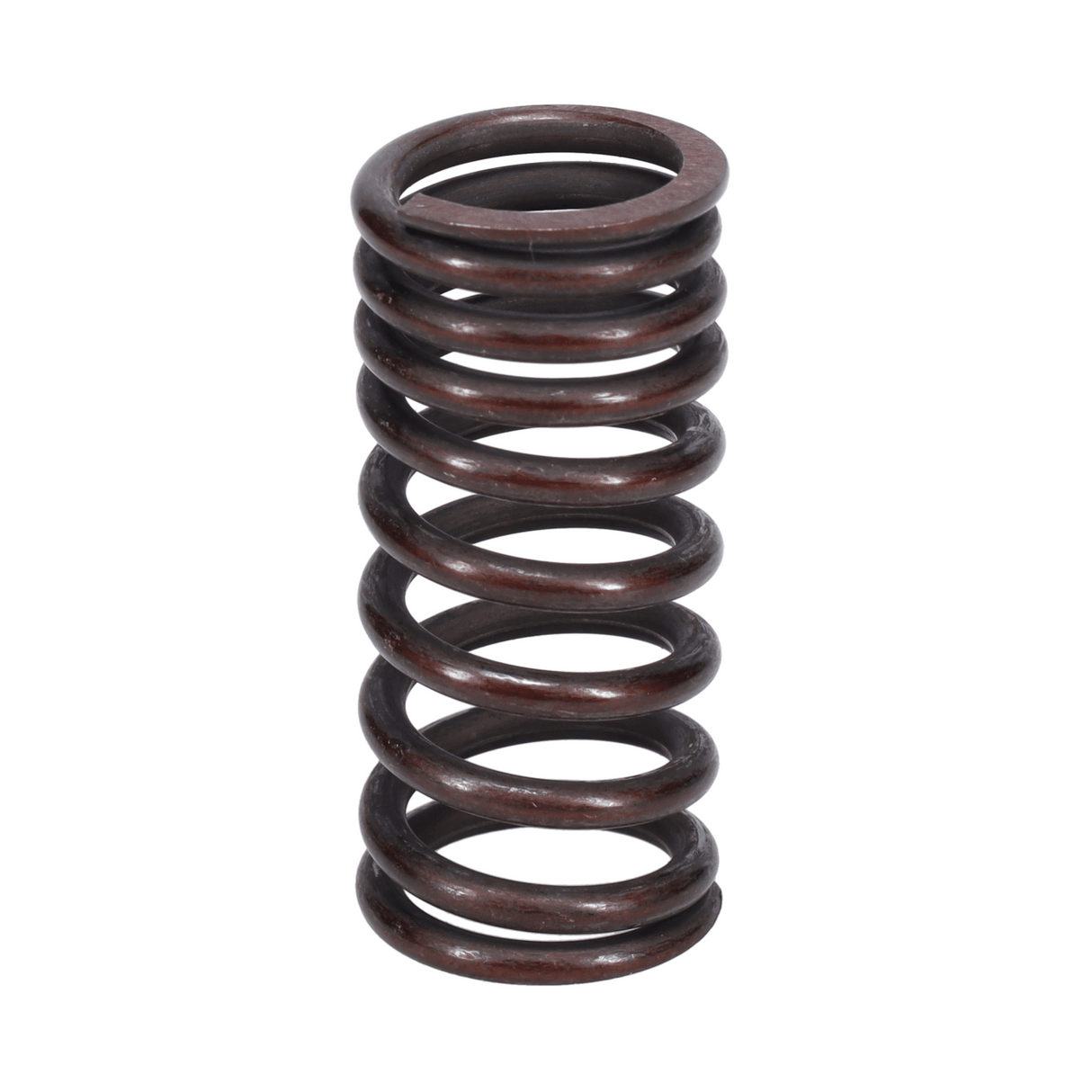 Valve Spring