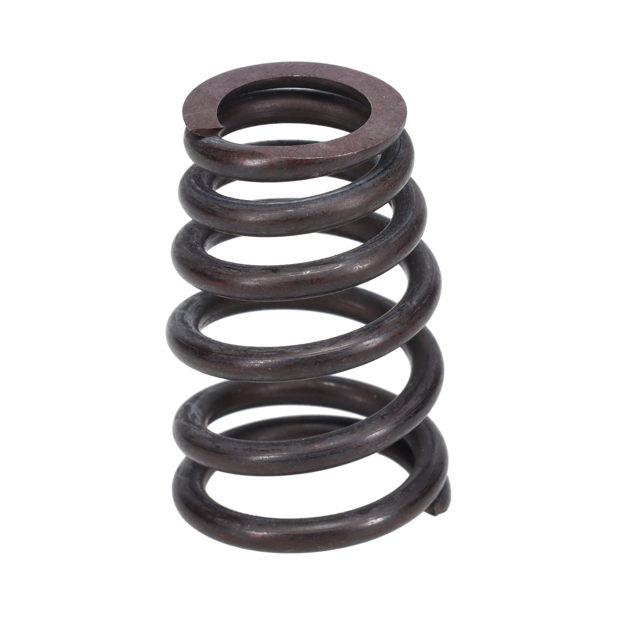 Valve Spring
