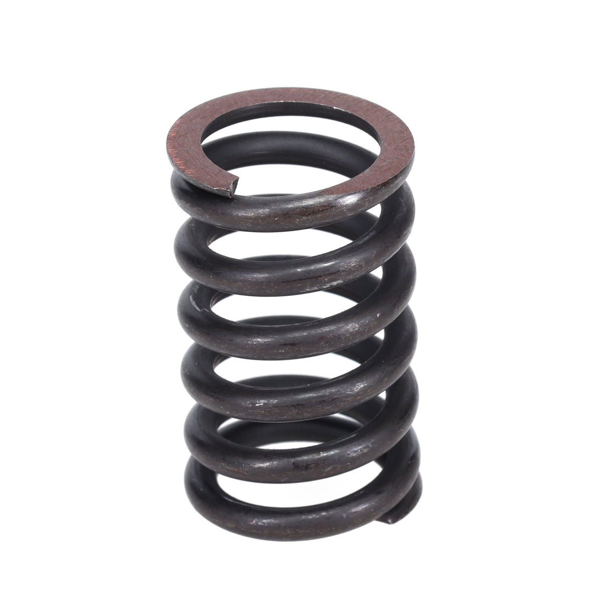 Valve Spring