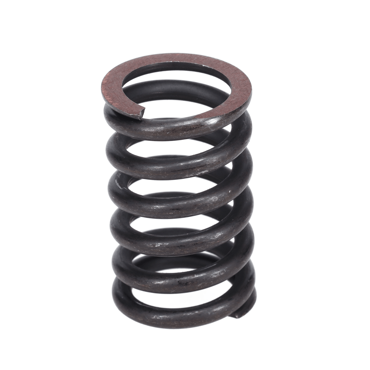 Valve Spring