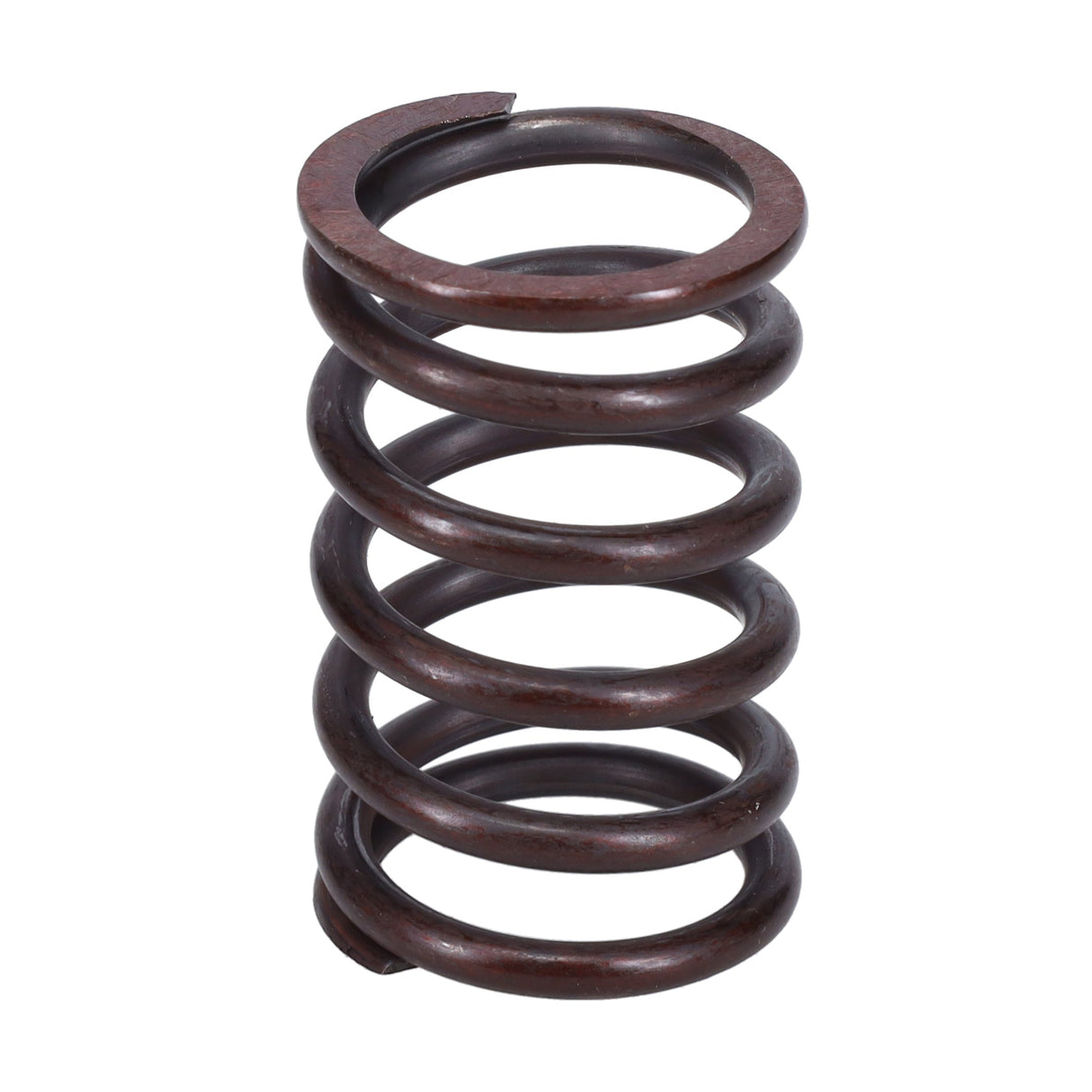 Valve Spring