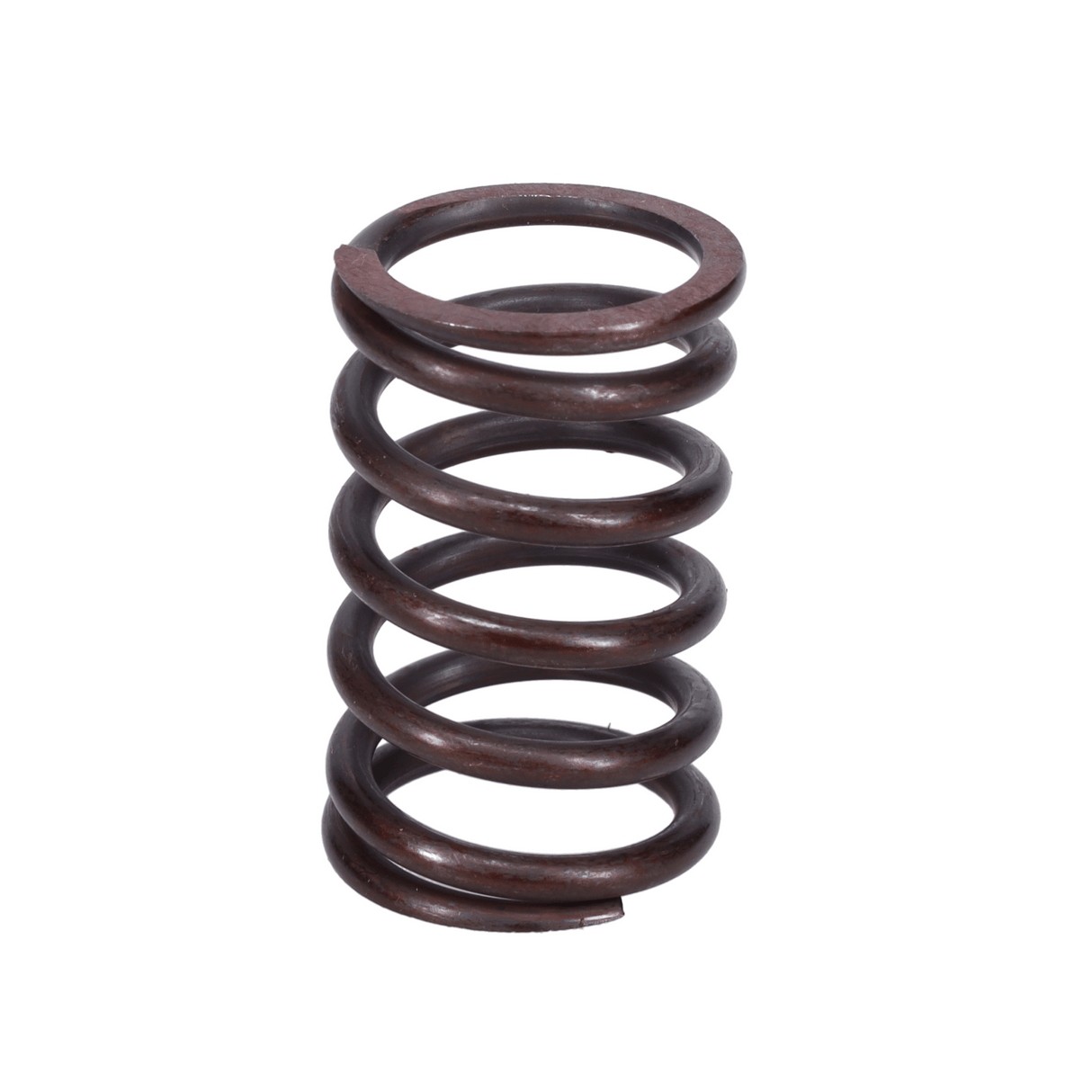 Valve Spring