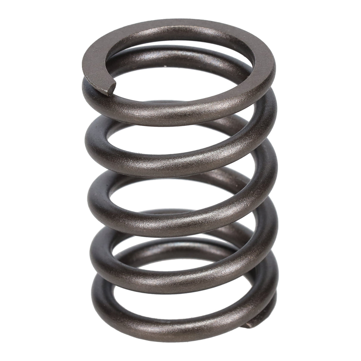Valve Spring