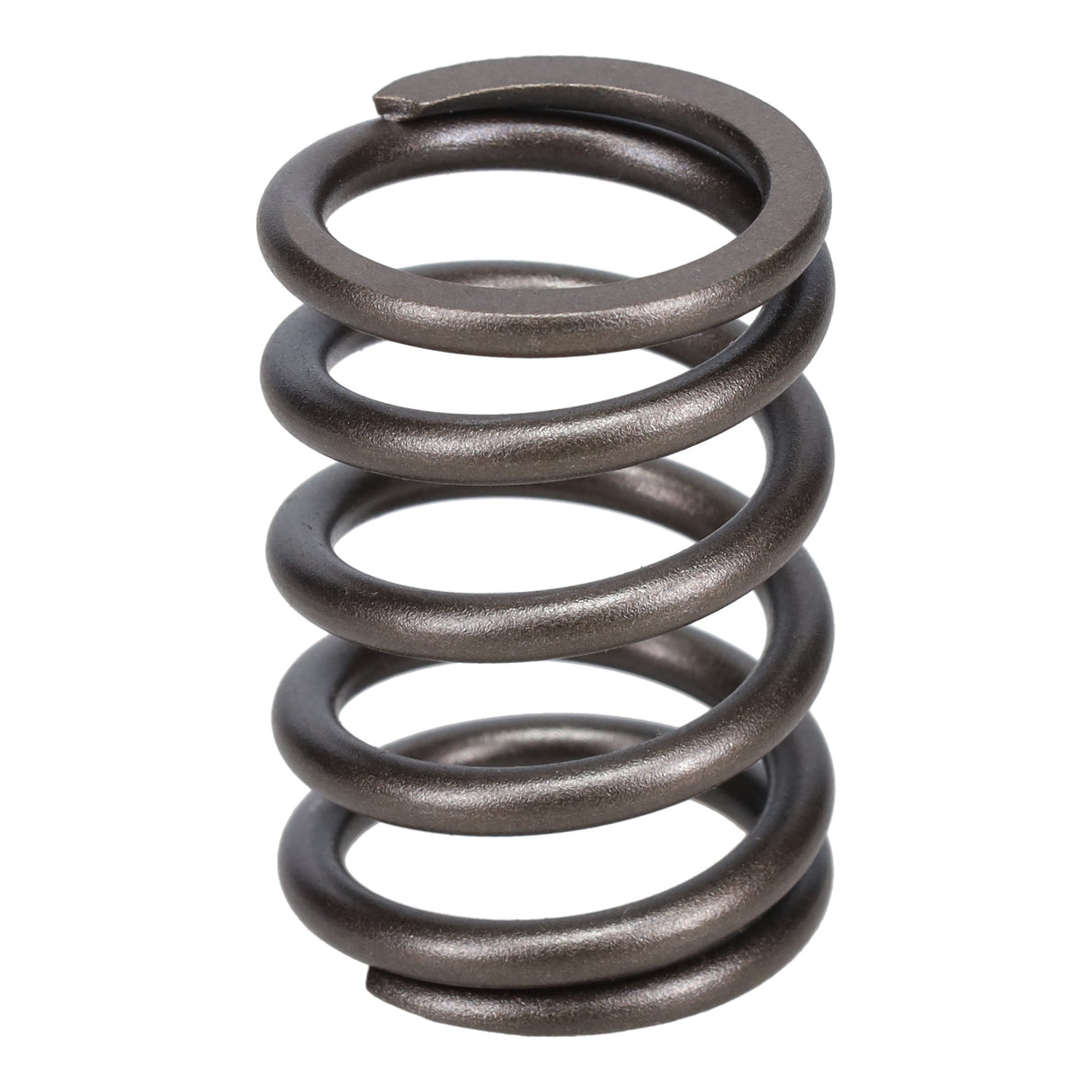 Valve Spring