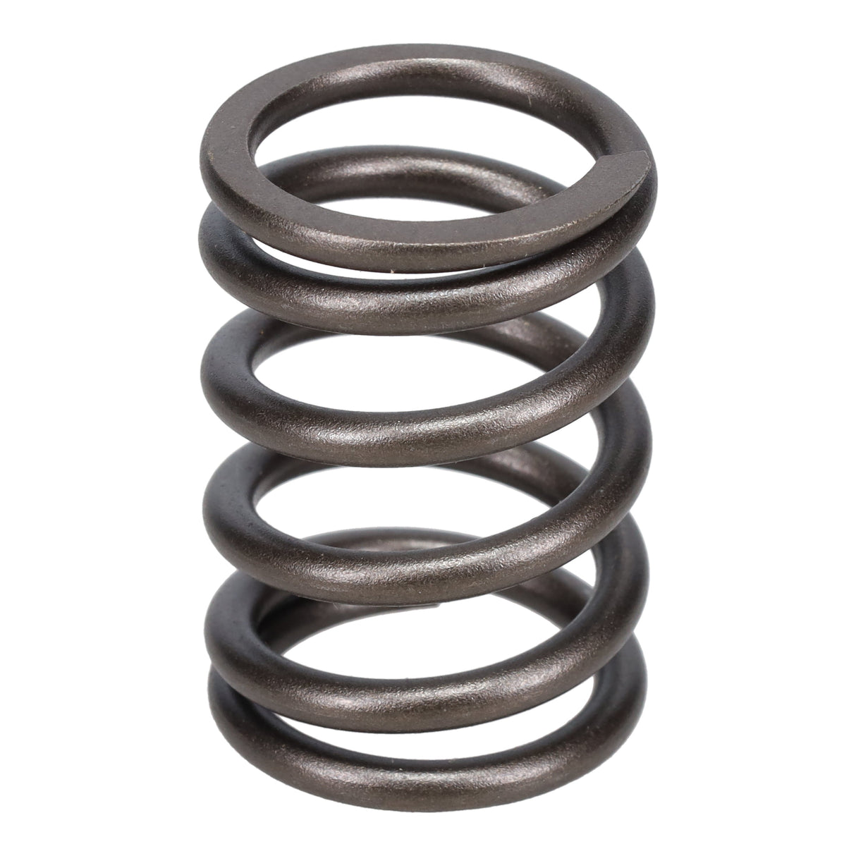 Valve Spring