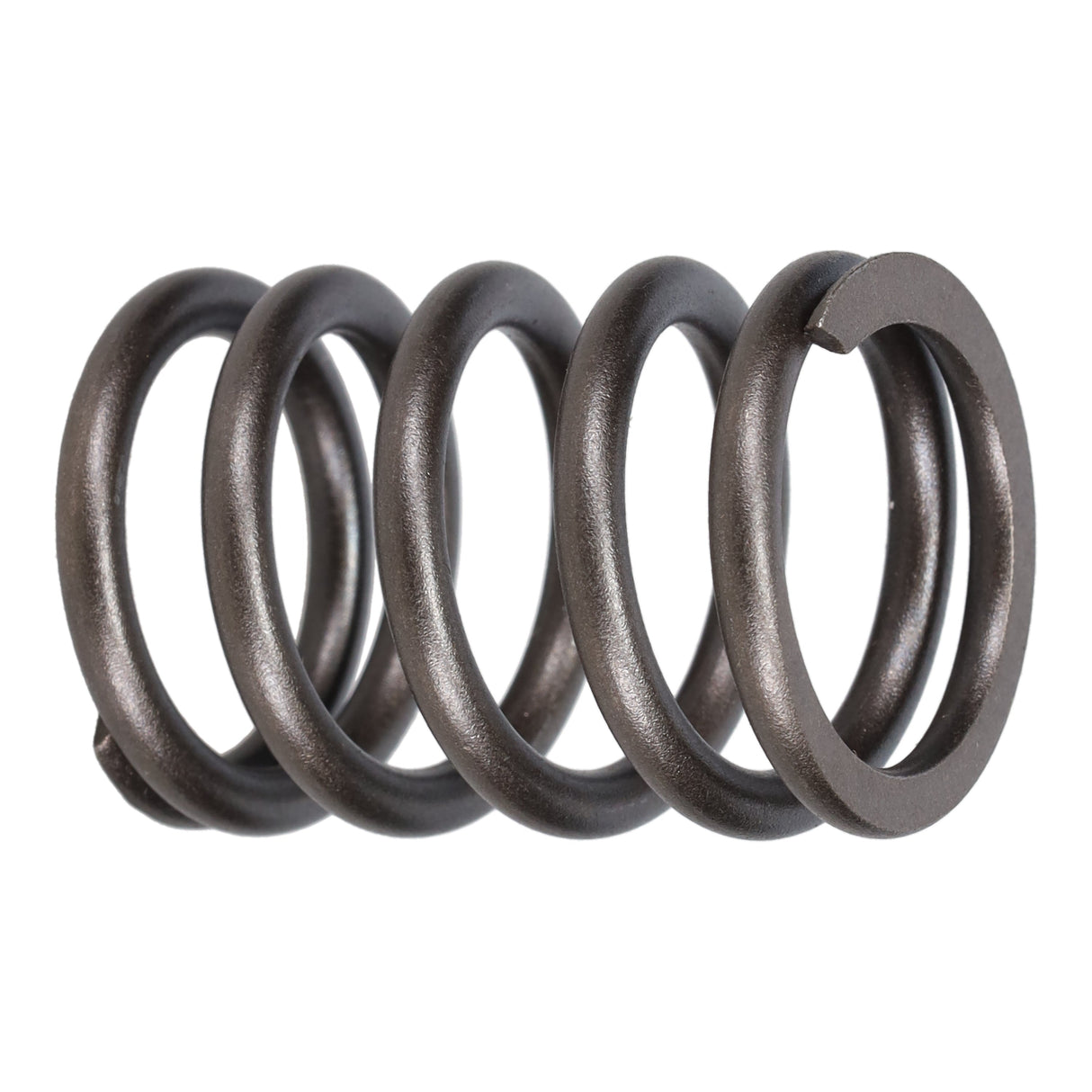 Valve Spring