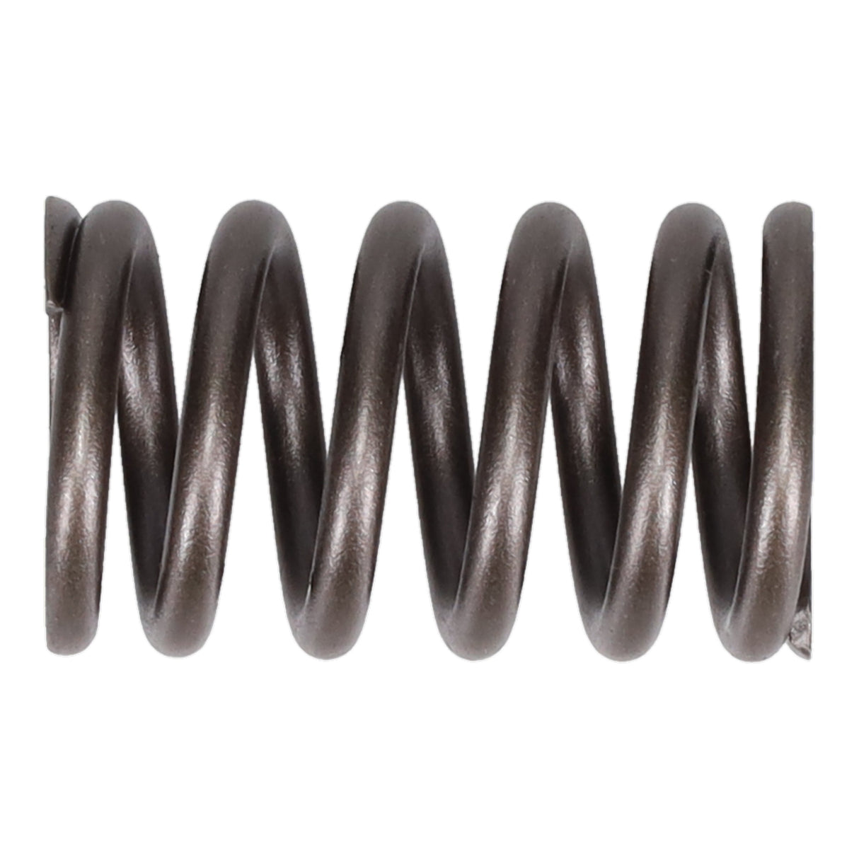 Valve Spring