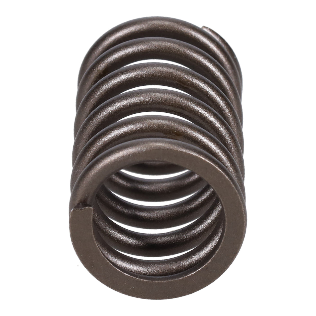 Valve Spring