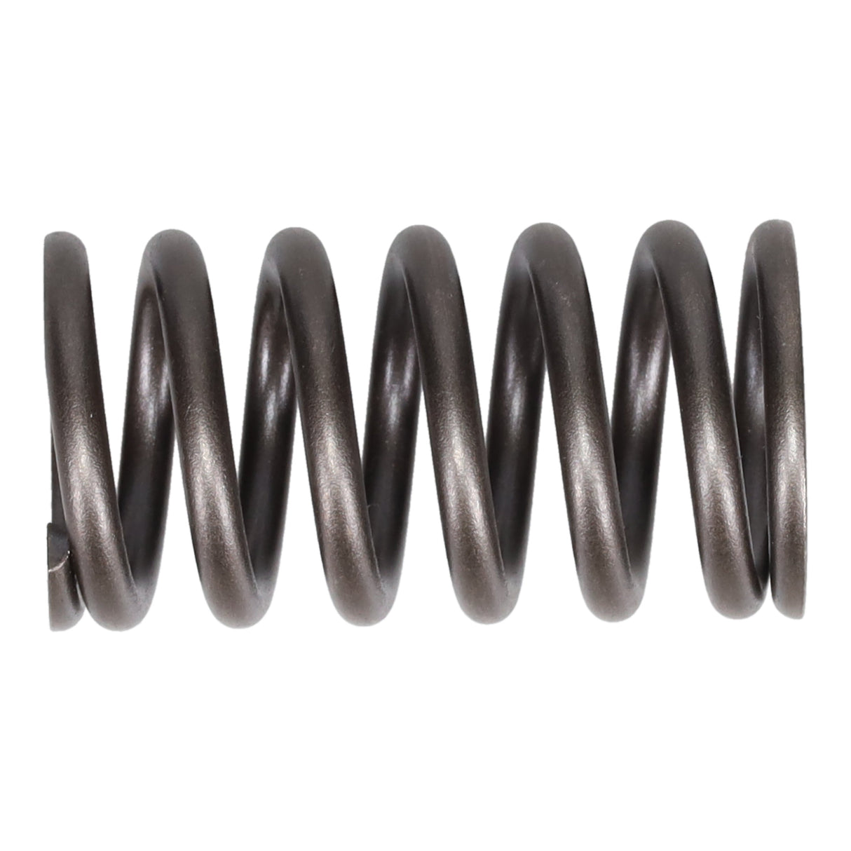 Valve Spring