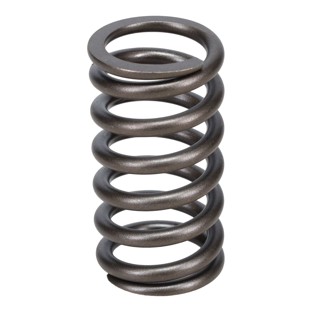 Valve Spring