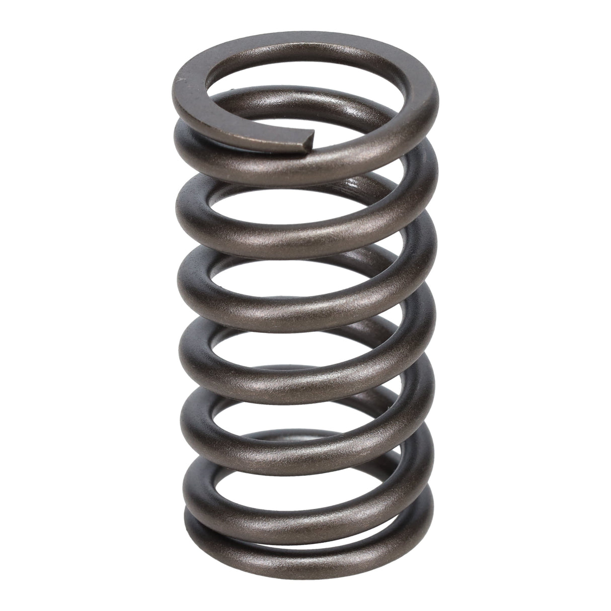 Valve Spring