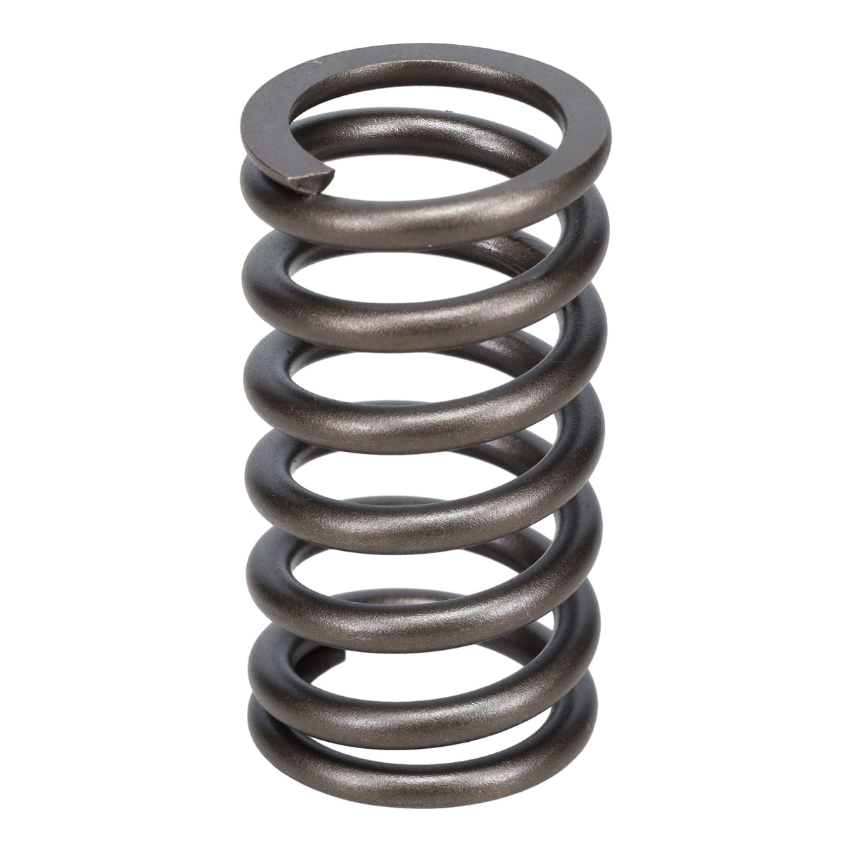 Valve Spring