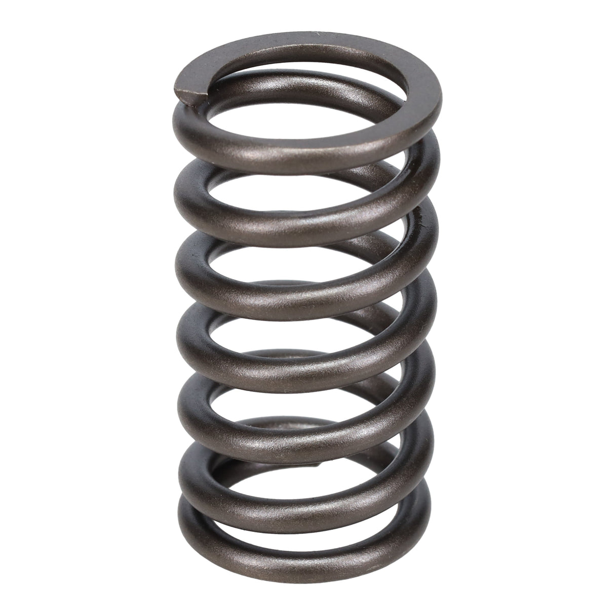 Valve Spring