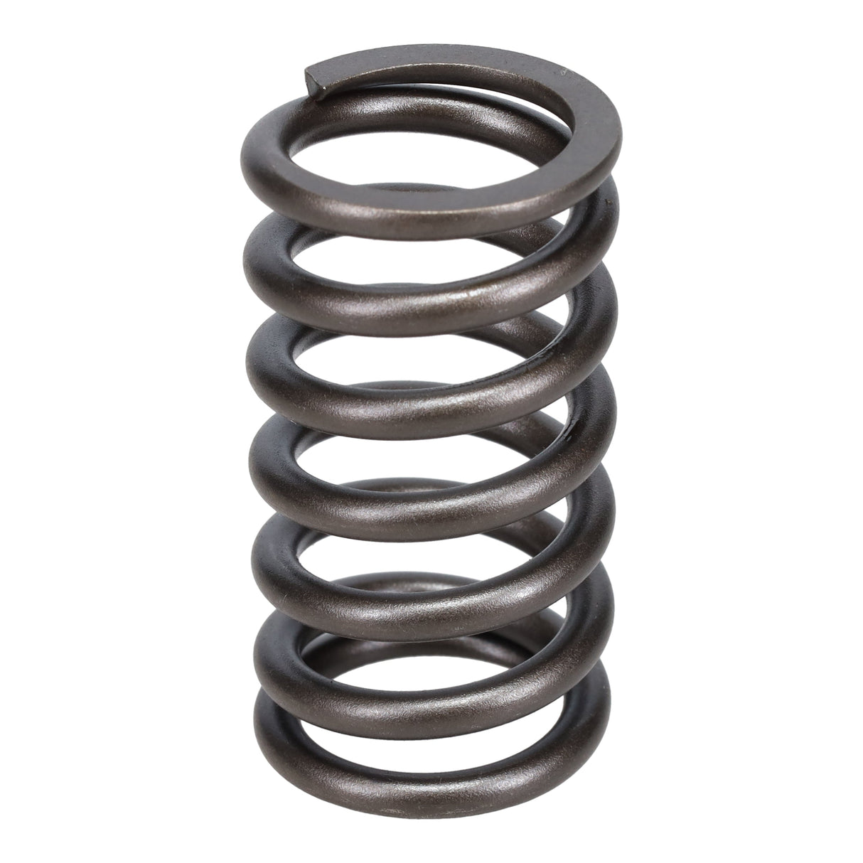 Valve Spring