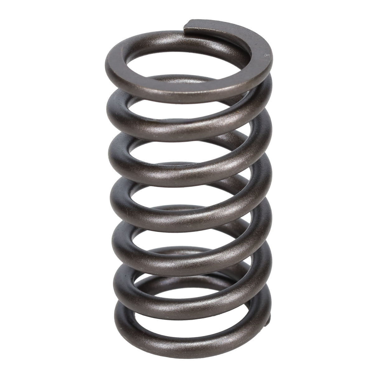 Valve Spring