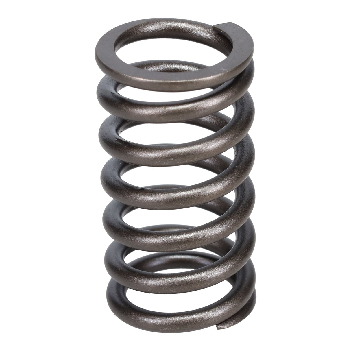 Valve Spring