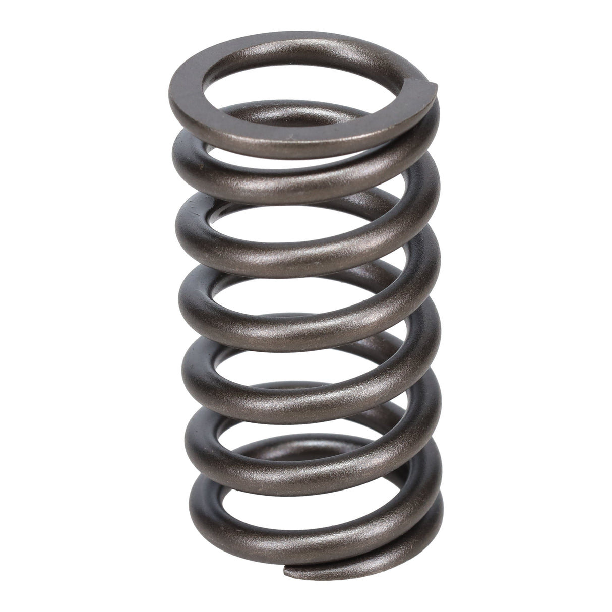 Valve Spring