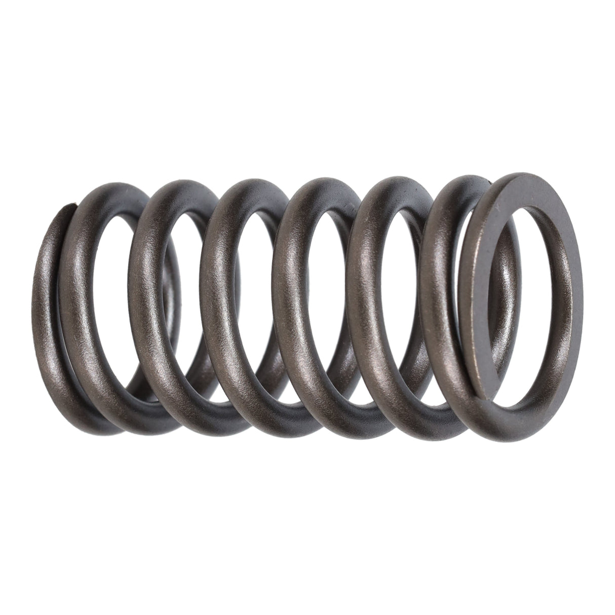 Valve Spring