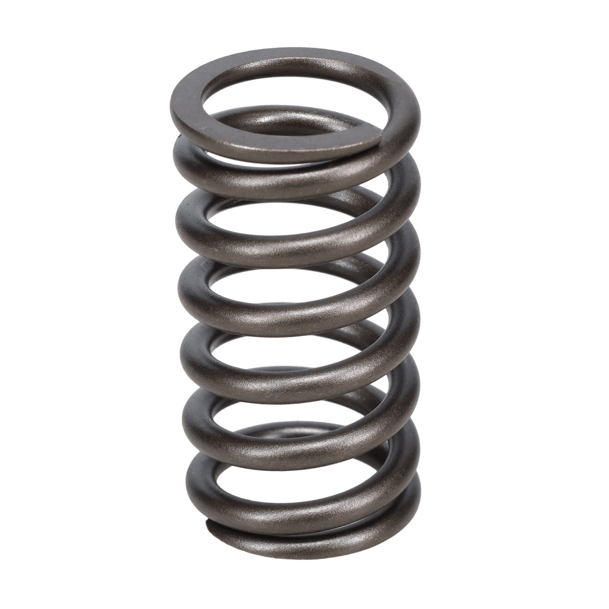 Valve Spring