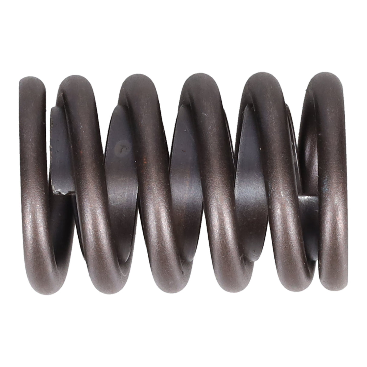 Valve Spring