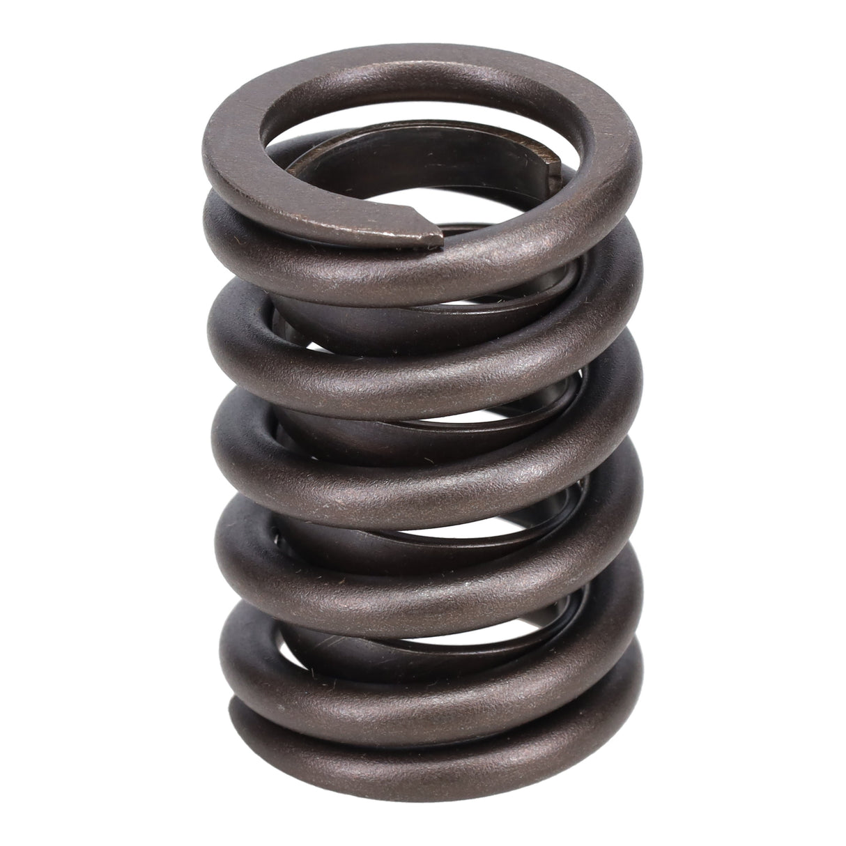 Valve Spring