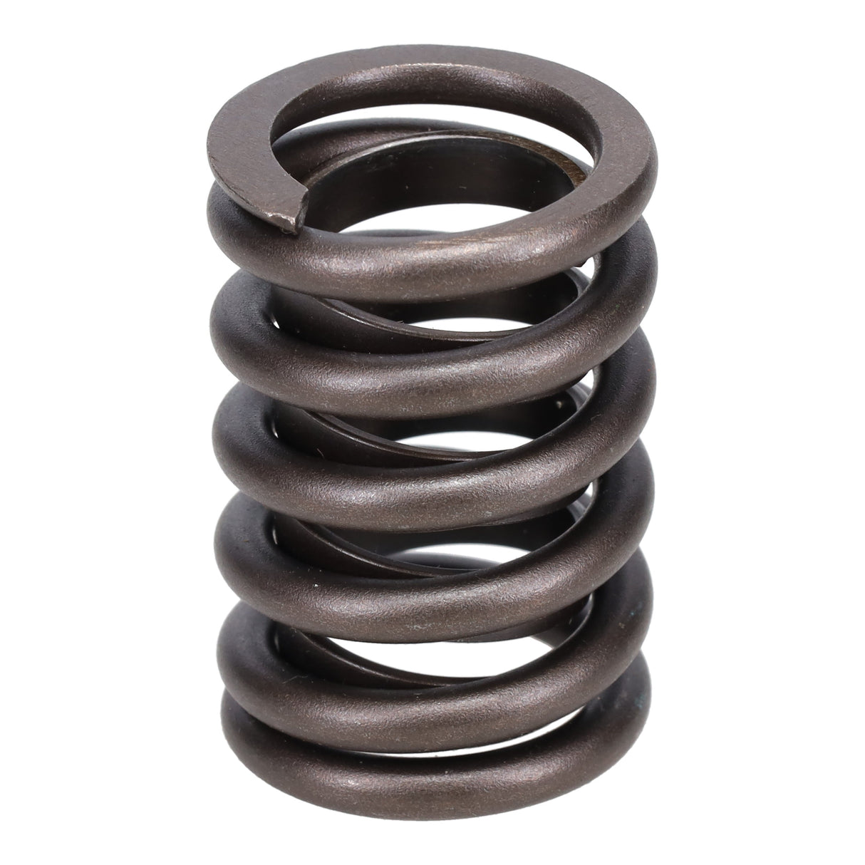 Valve Spring