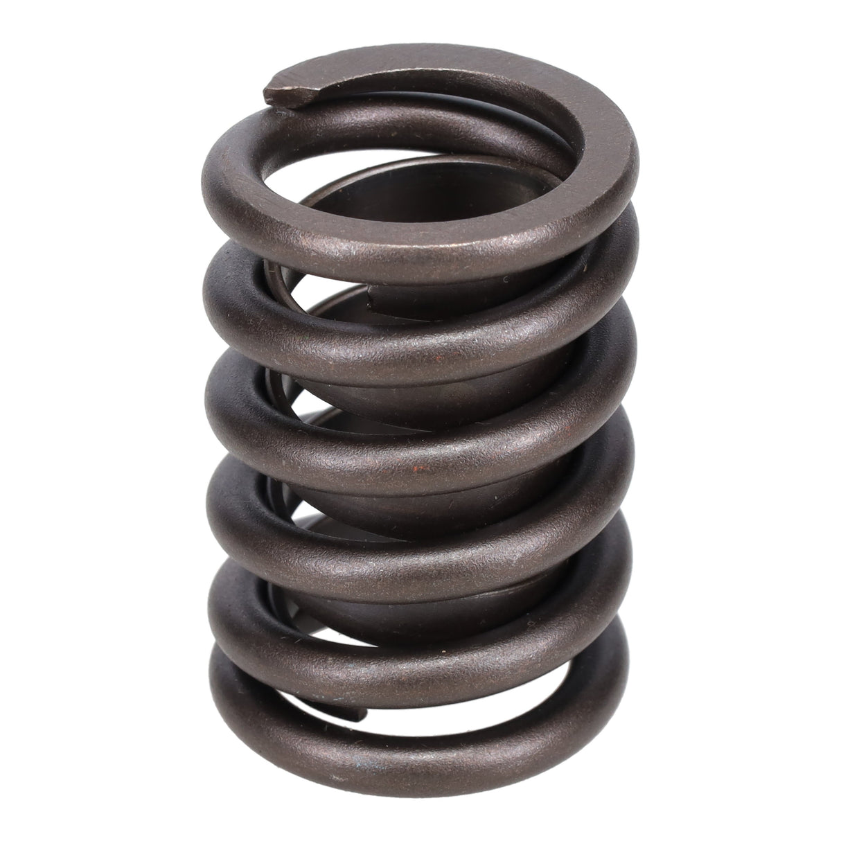 Valve Spring