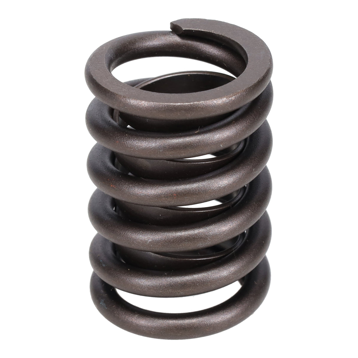 Valve Spring