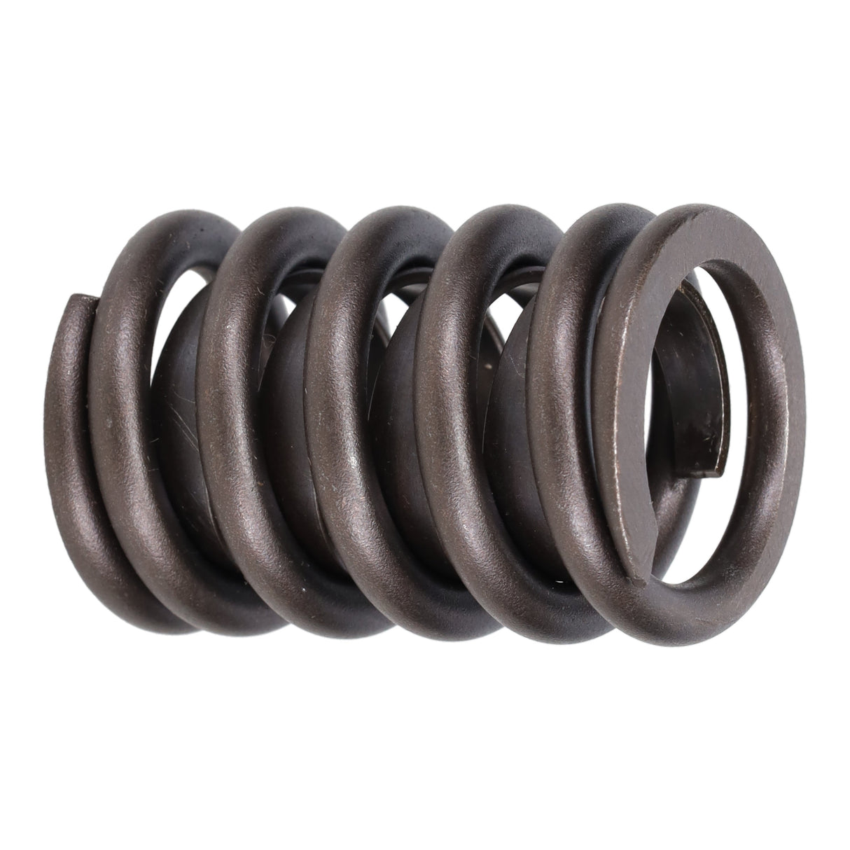 Valve Spring
