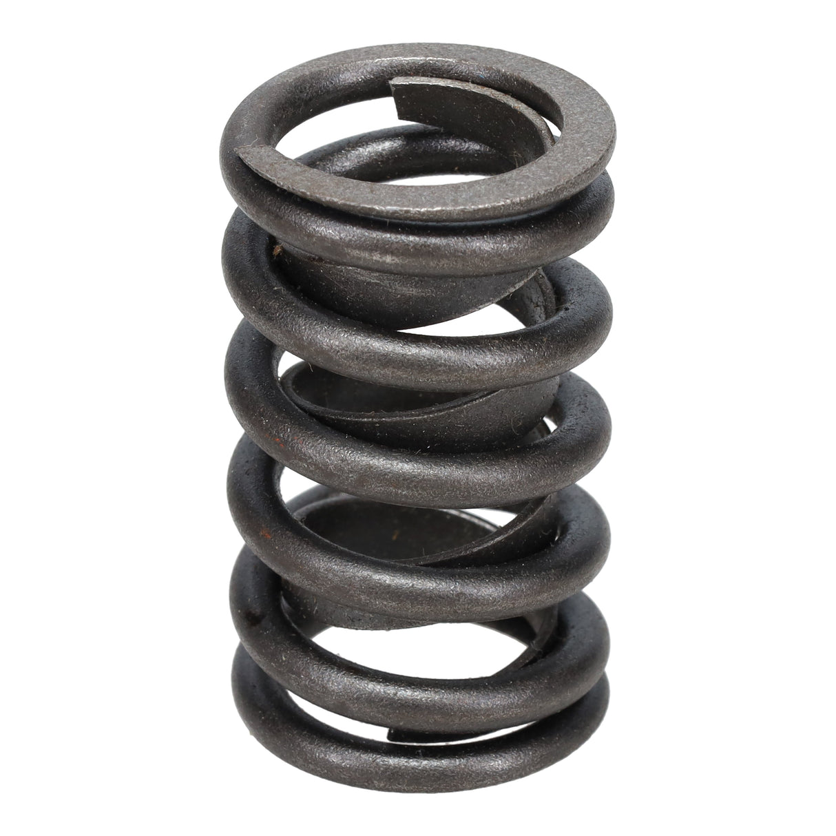 Valve Spring