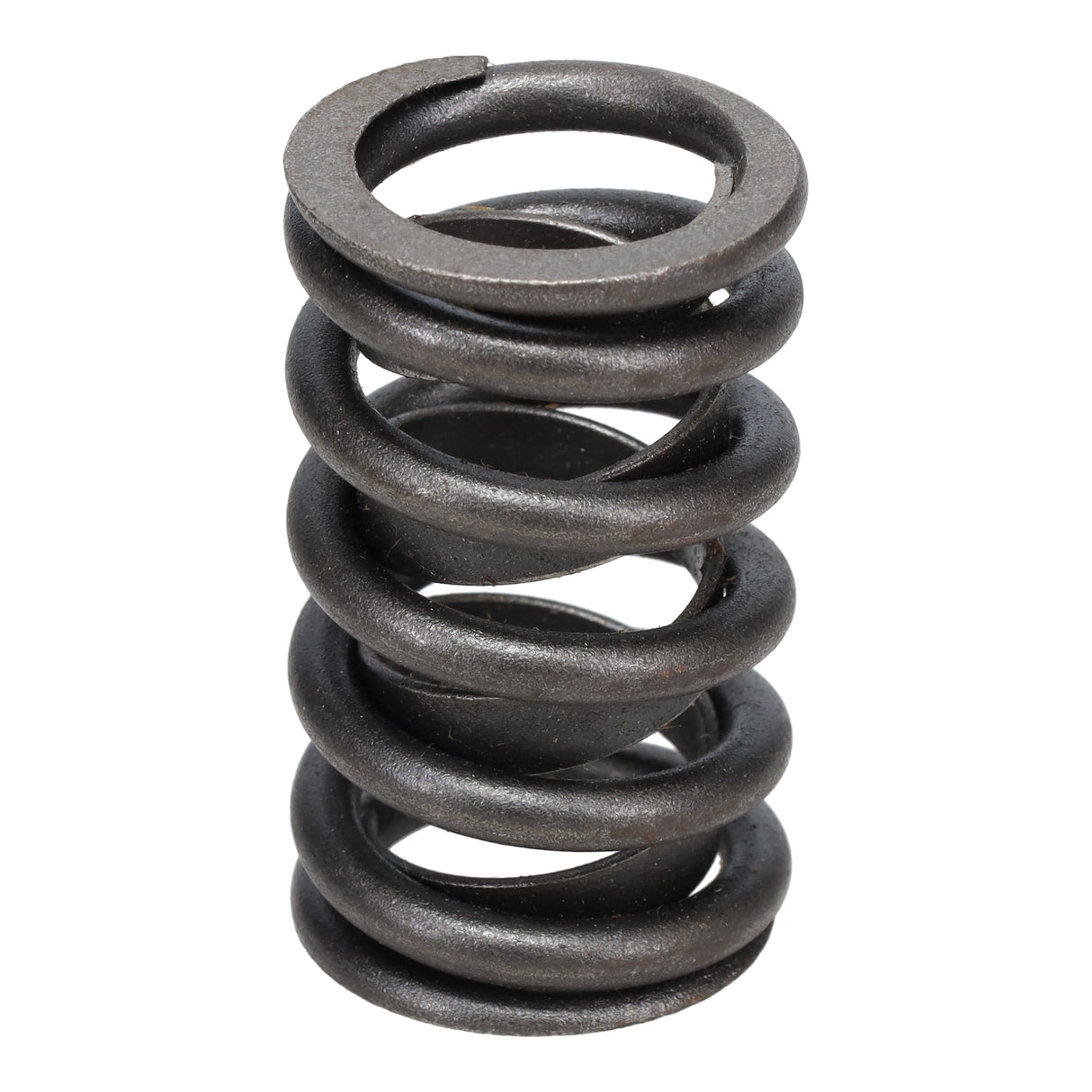 Valve Spring