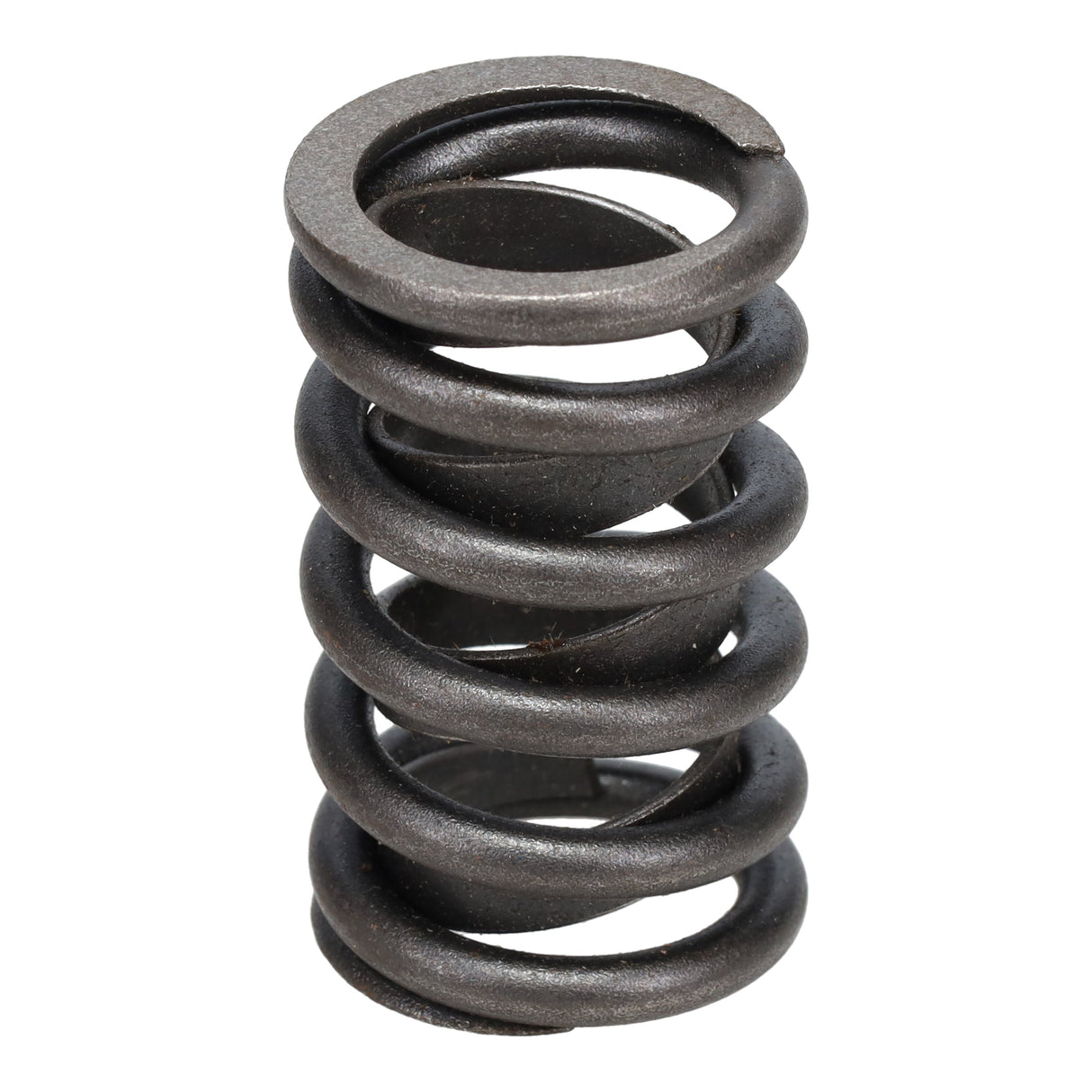 Valve Spring