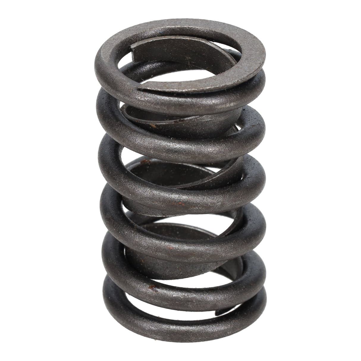 Valve Spring