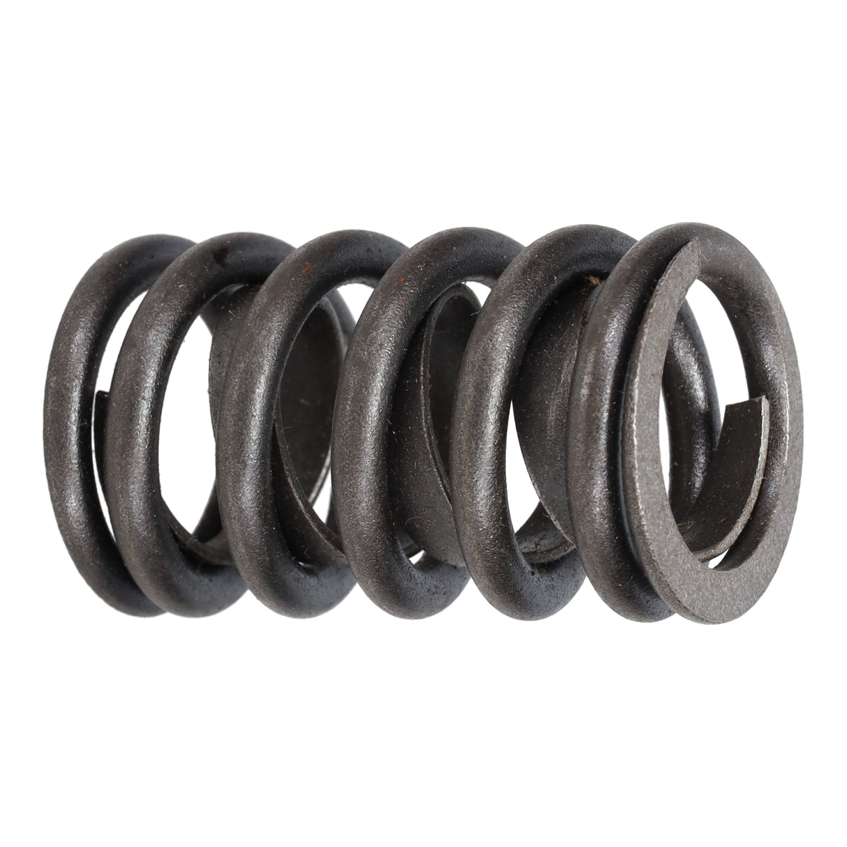 Valve Spring