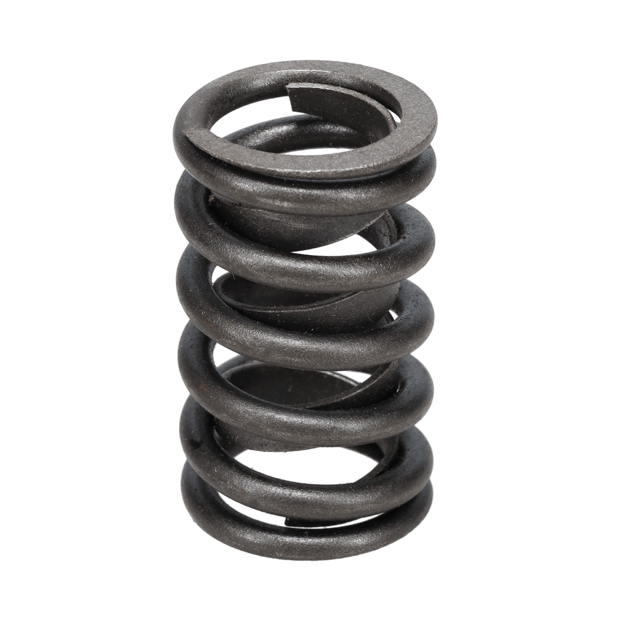 Valve Spring