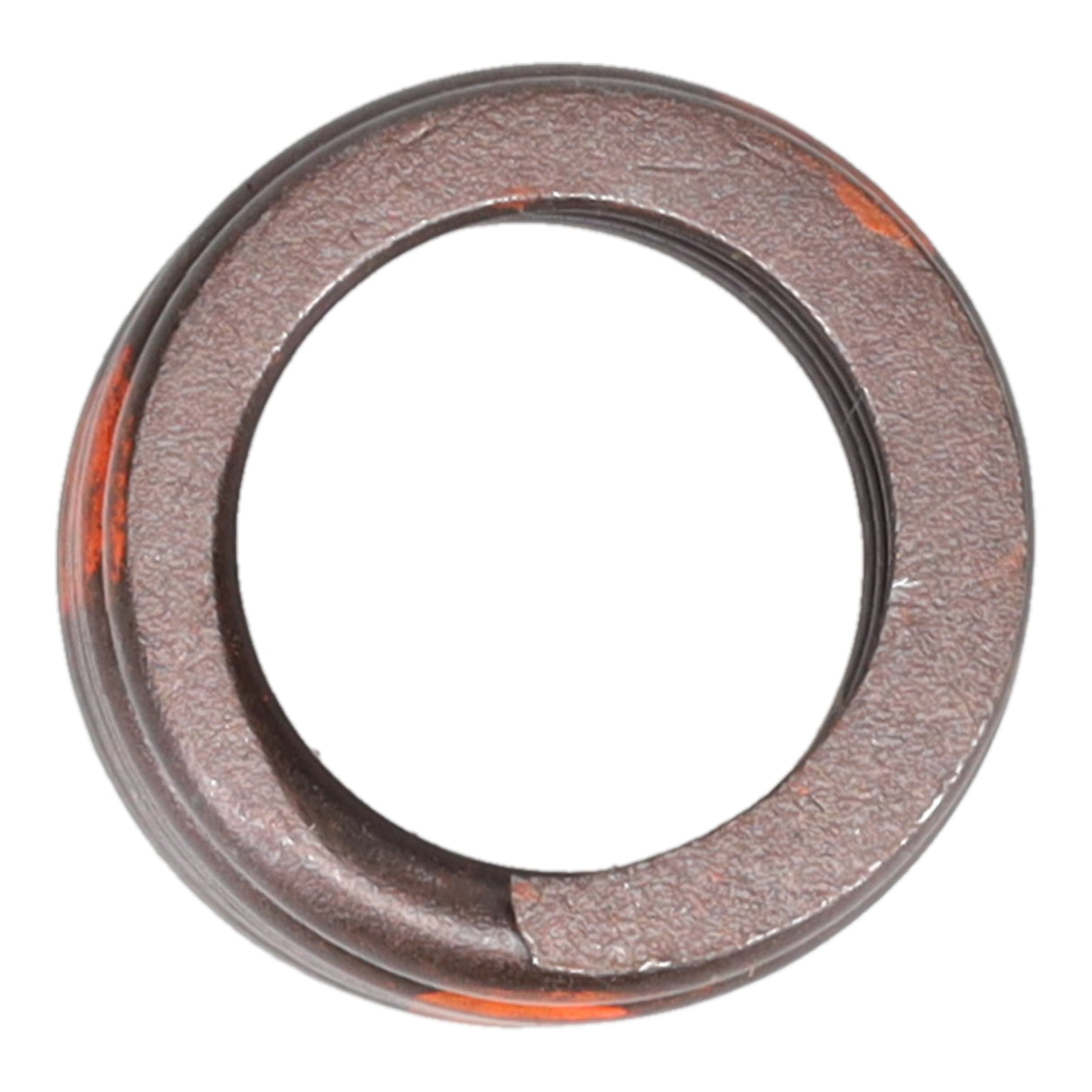 Valve Spring