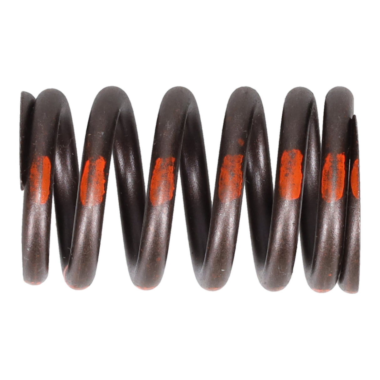 Valve Spring