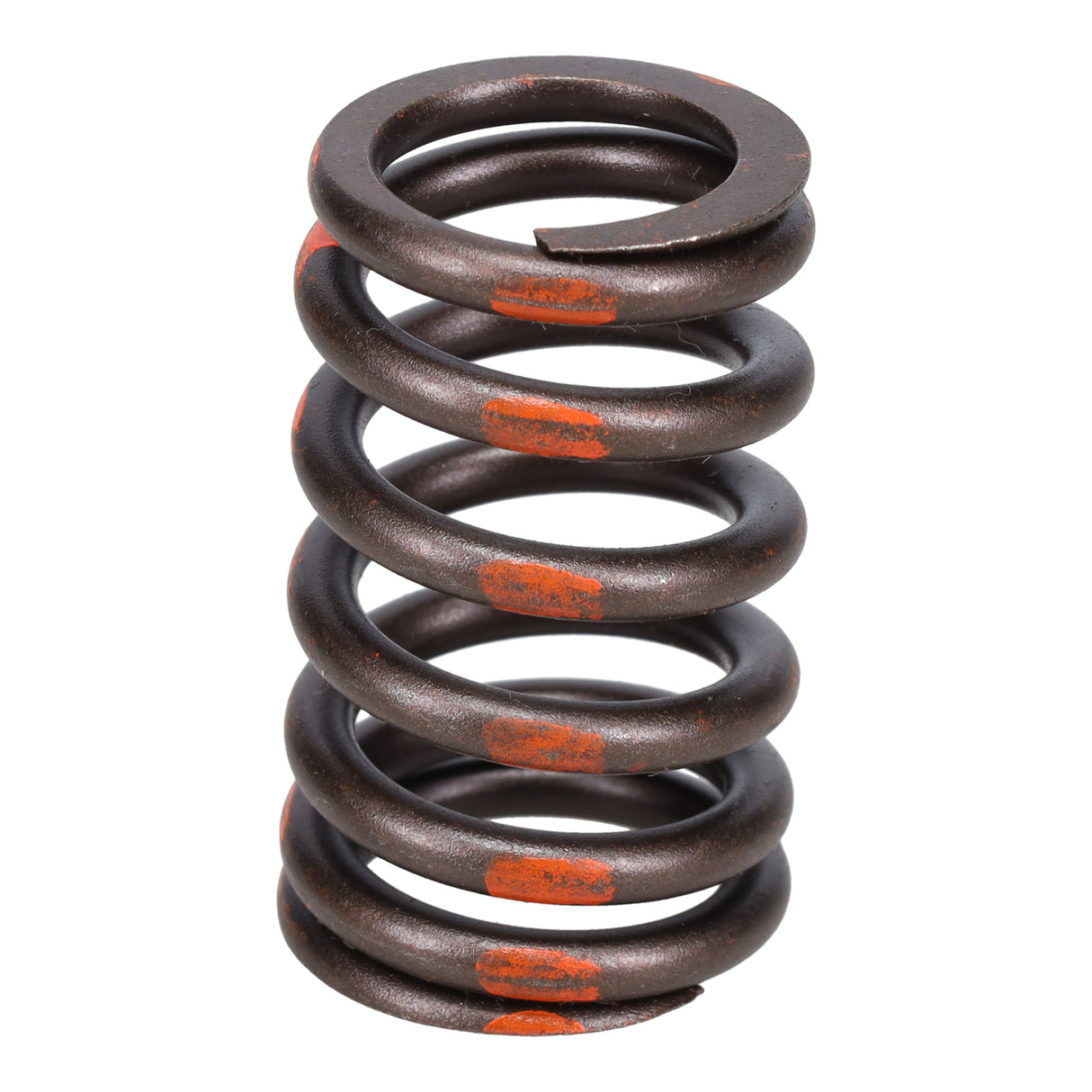 Valve Spring