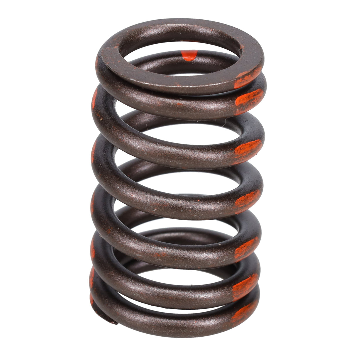 Valve Spring