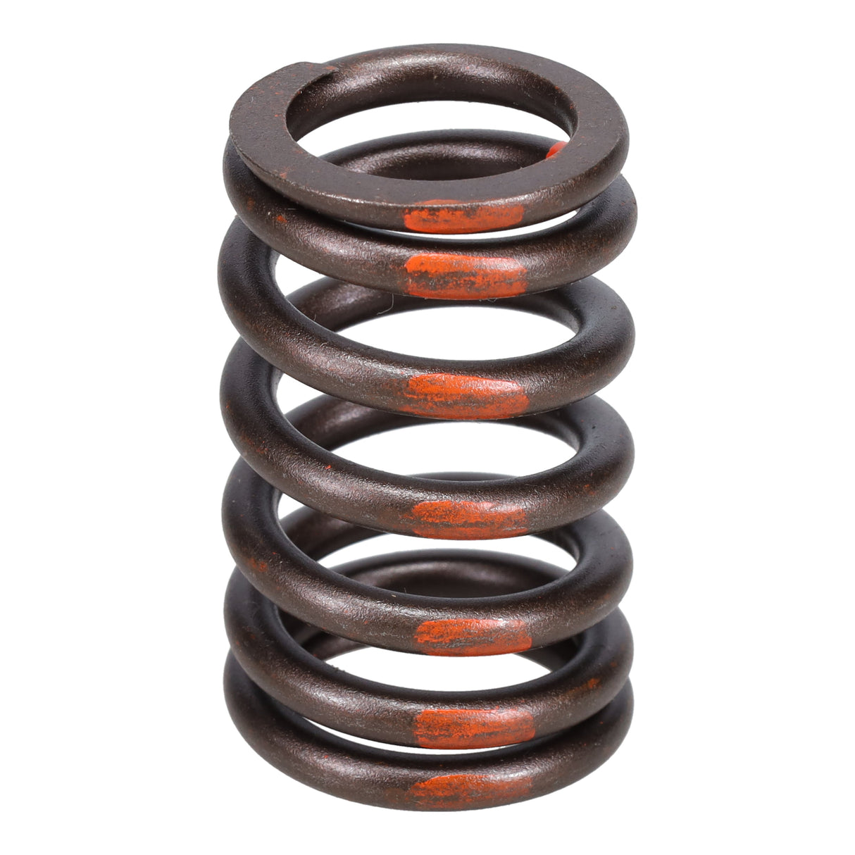 Valve Spring