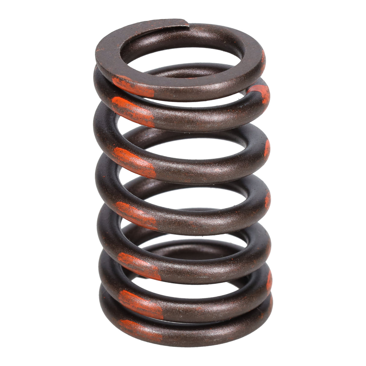 Valve Spring