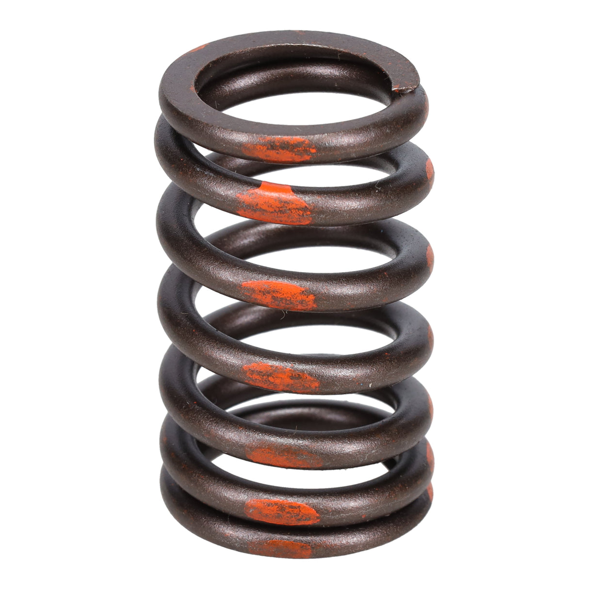 Valve Spring