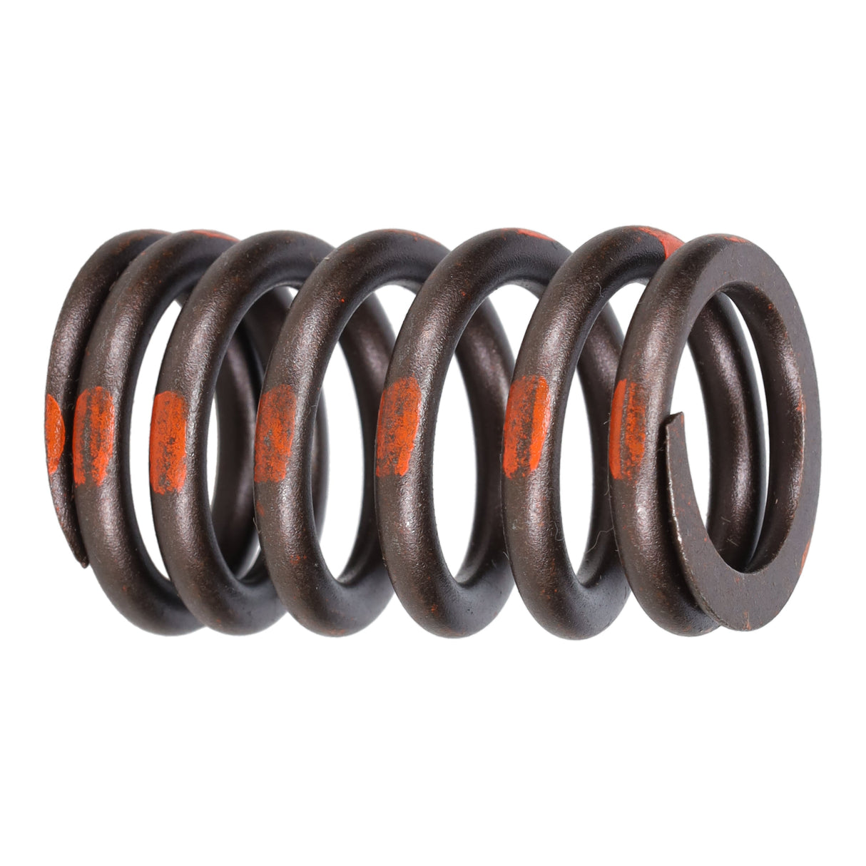 Valve Spring