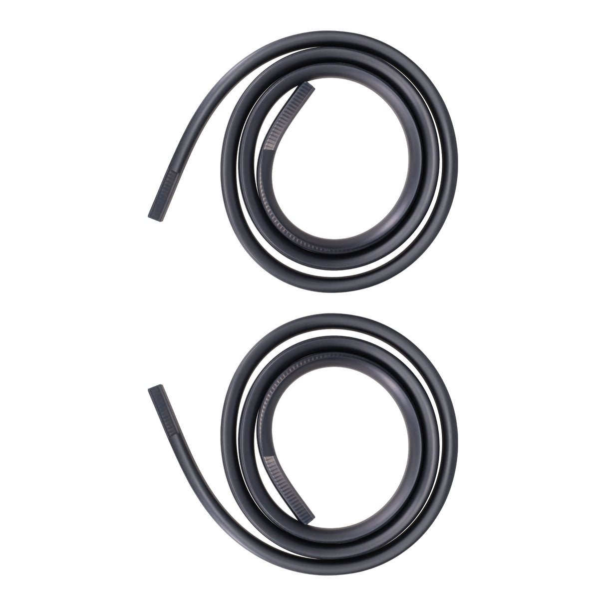 Door Seal on Body