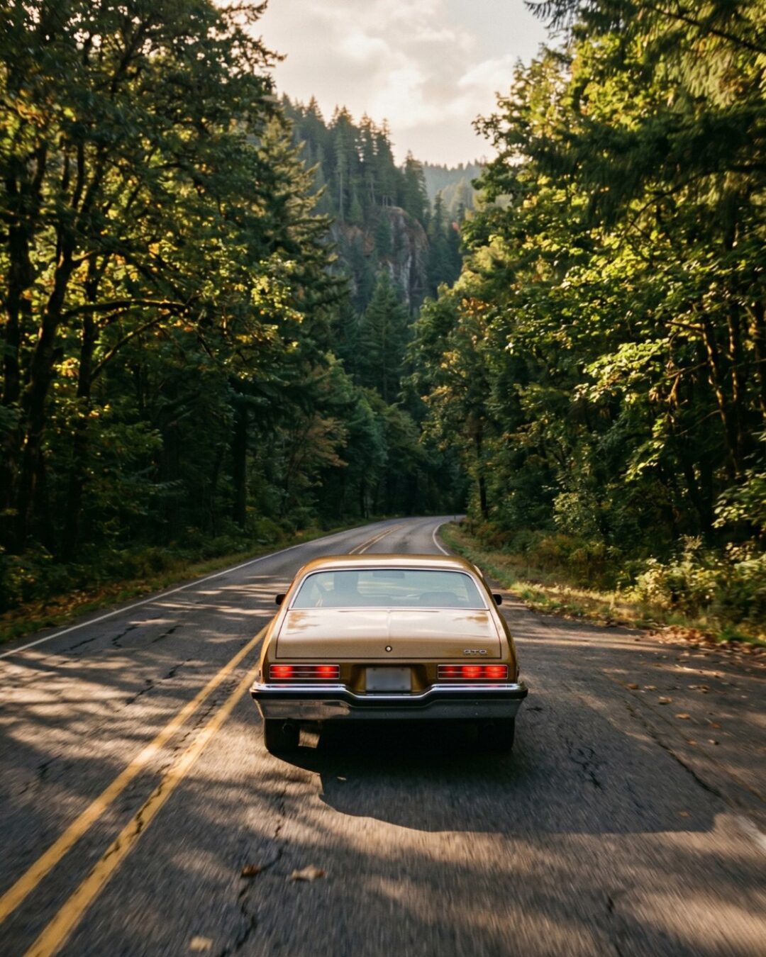 Classic car on an open forest road