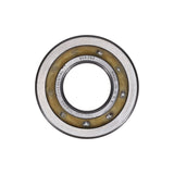 Wheel Bearing