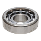Wheel Bearing
