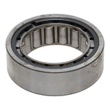 Roller Bearing