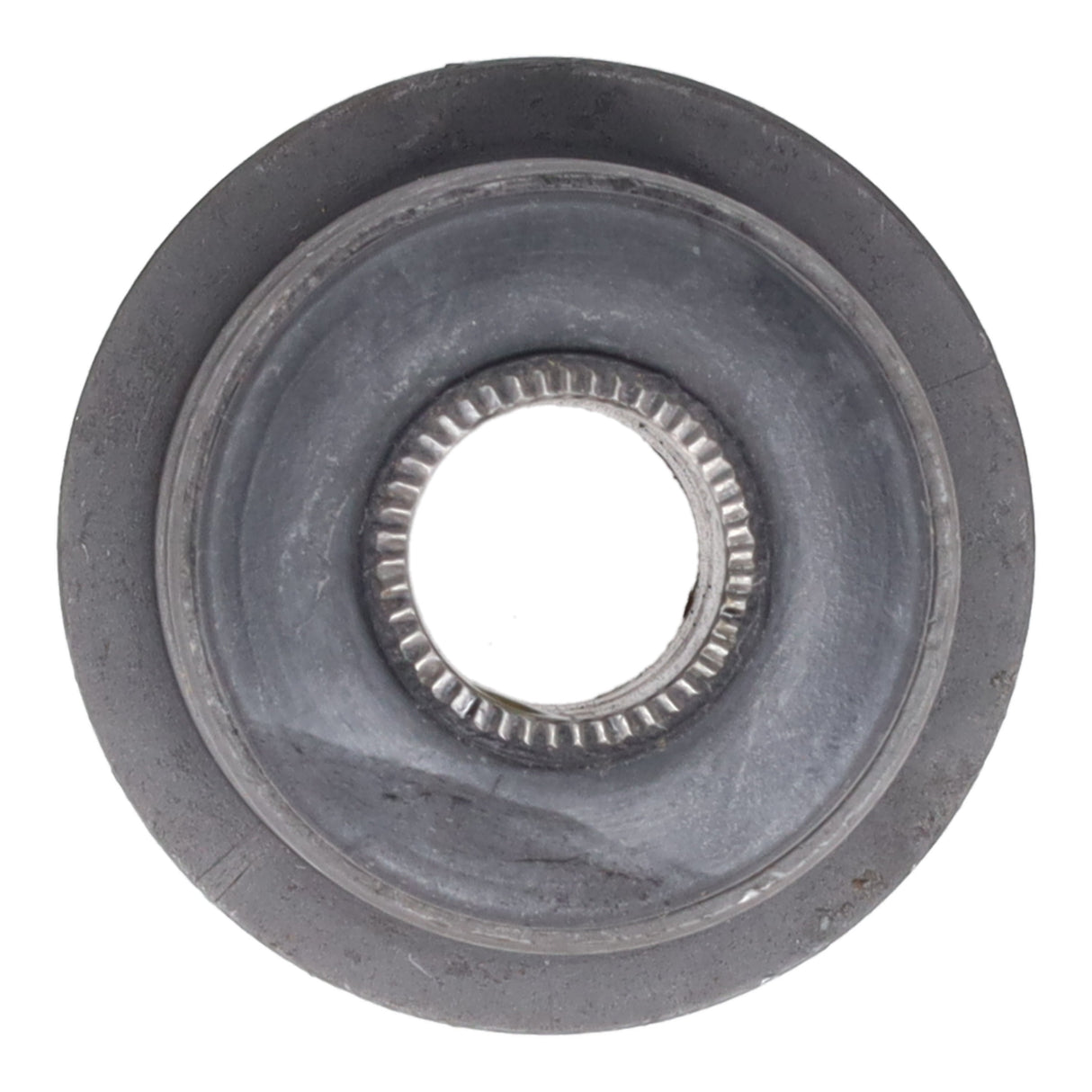 Trailing Arm Bushing