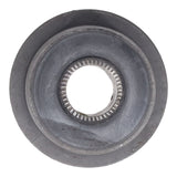 Trailing Arm Bushing